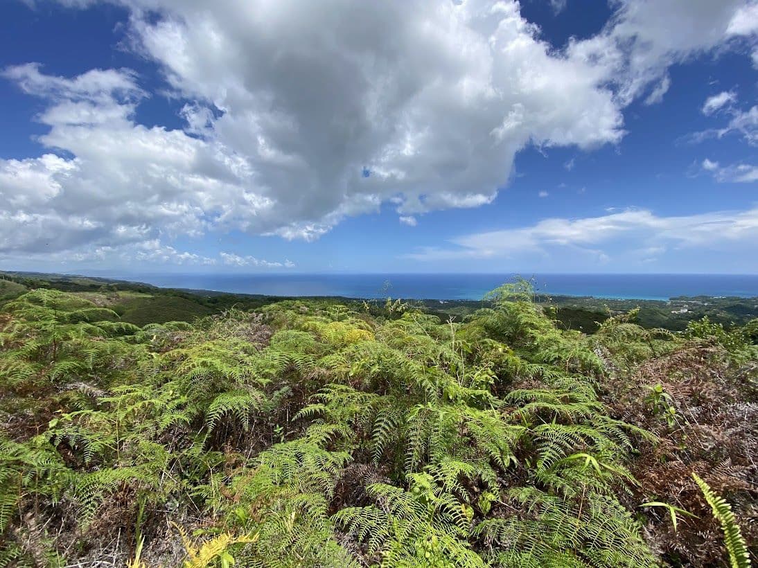 Great investment opportunity Affordable Ocean View Lots en El Jamito, Las Terrenas — En venta