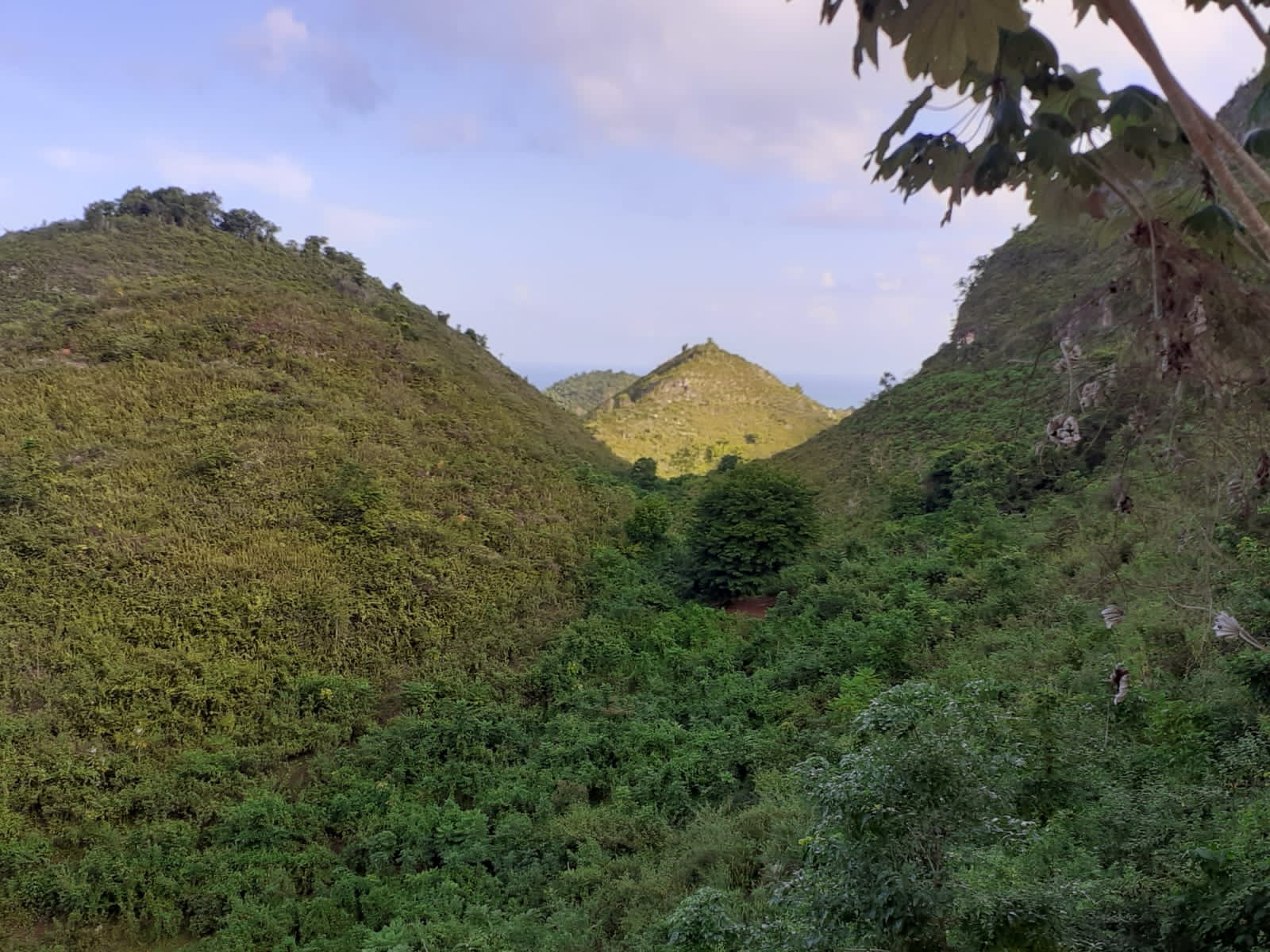 Land 15 min to the beach with Oceanview en Hoyo Cacao, Las Terrenas — En venta