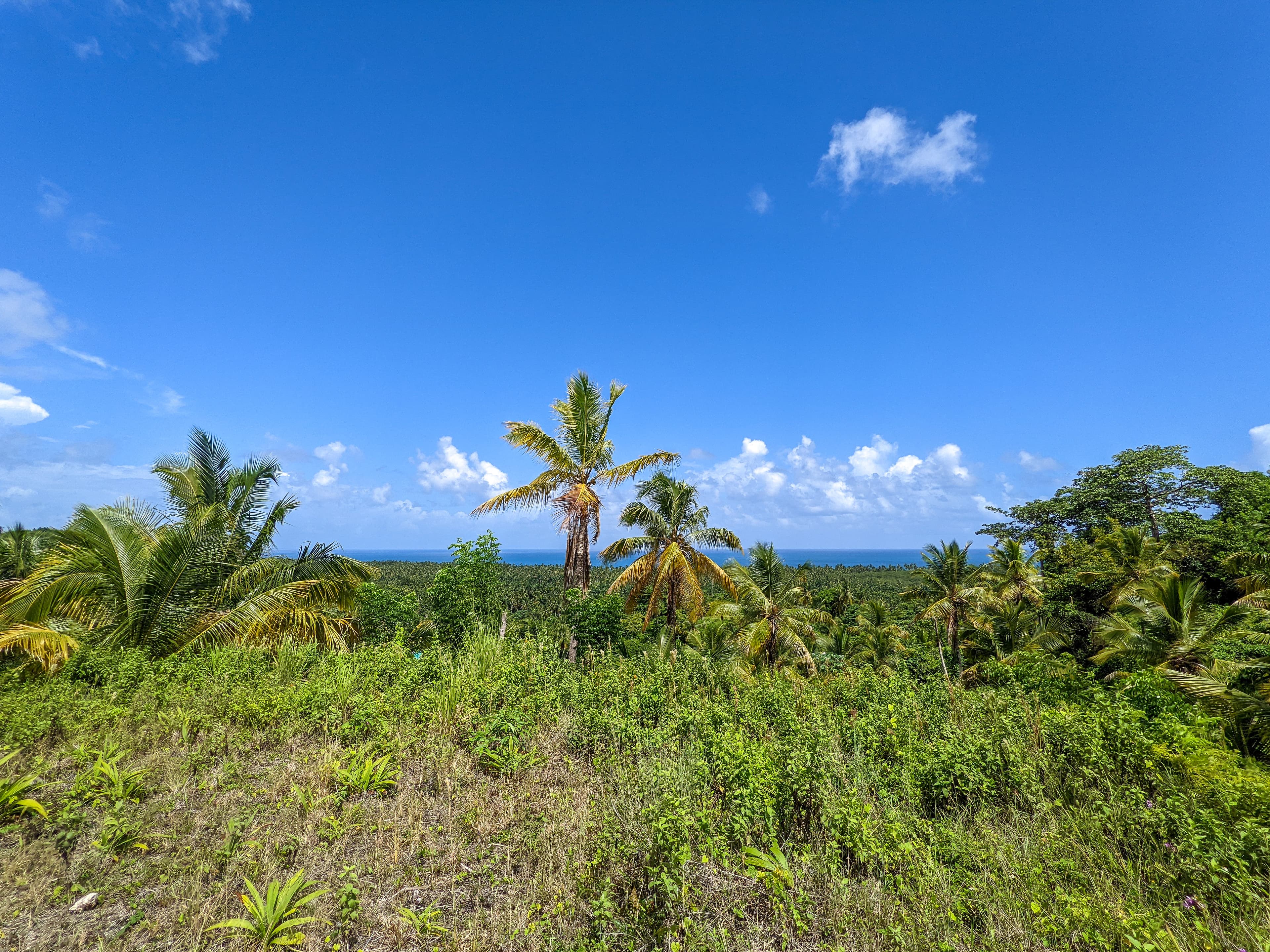 Hill with ocean view by Coson beach en Cosón, Las Terrenas — En venta