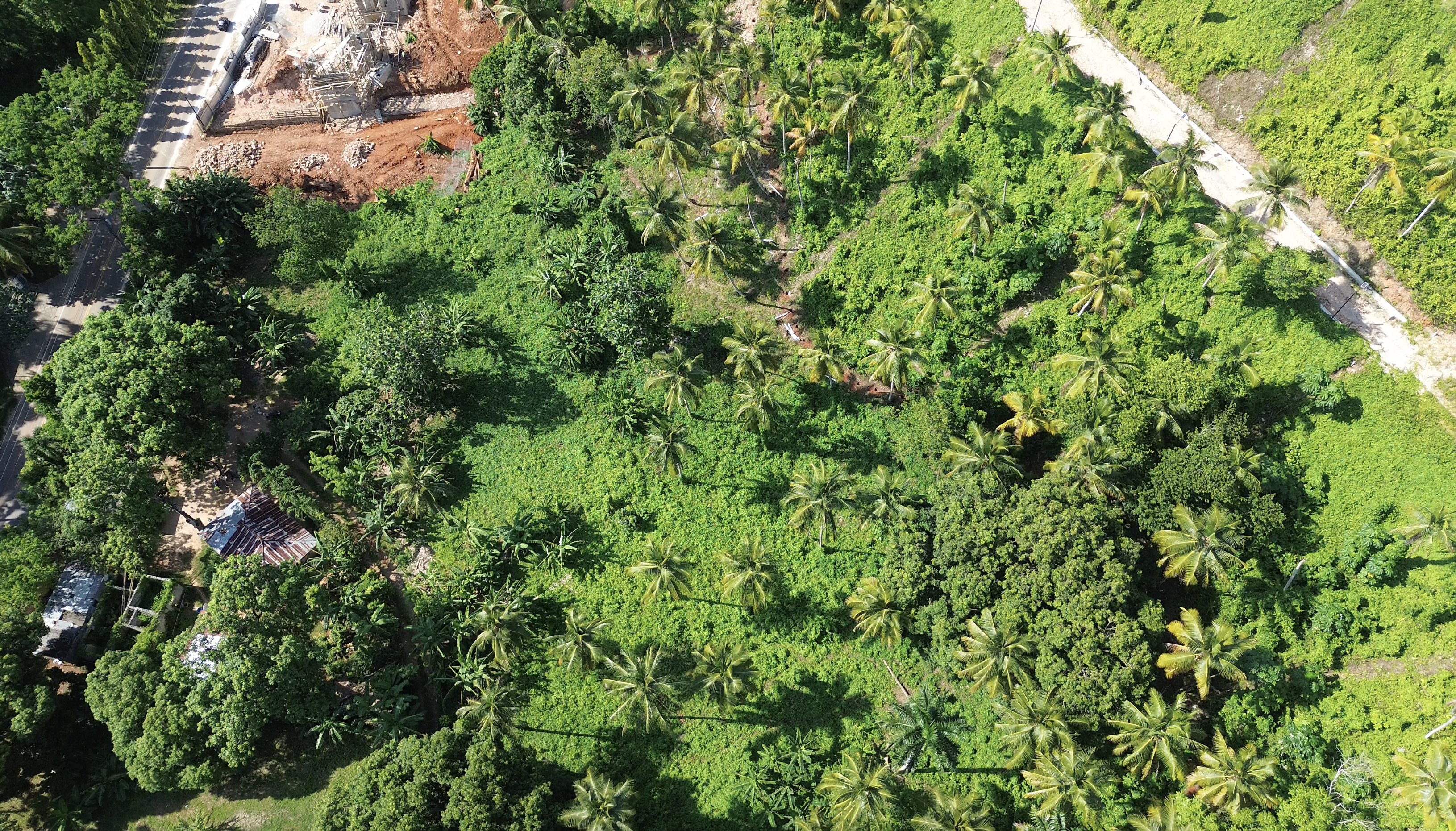 Land in Coson ideal for small project and investment en Cosón, Las Terrenas — En venta