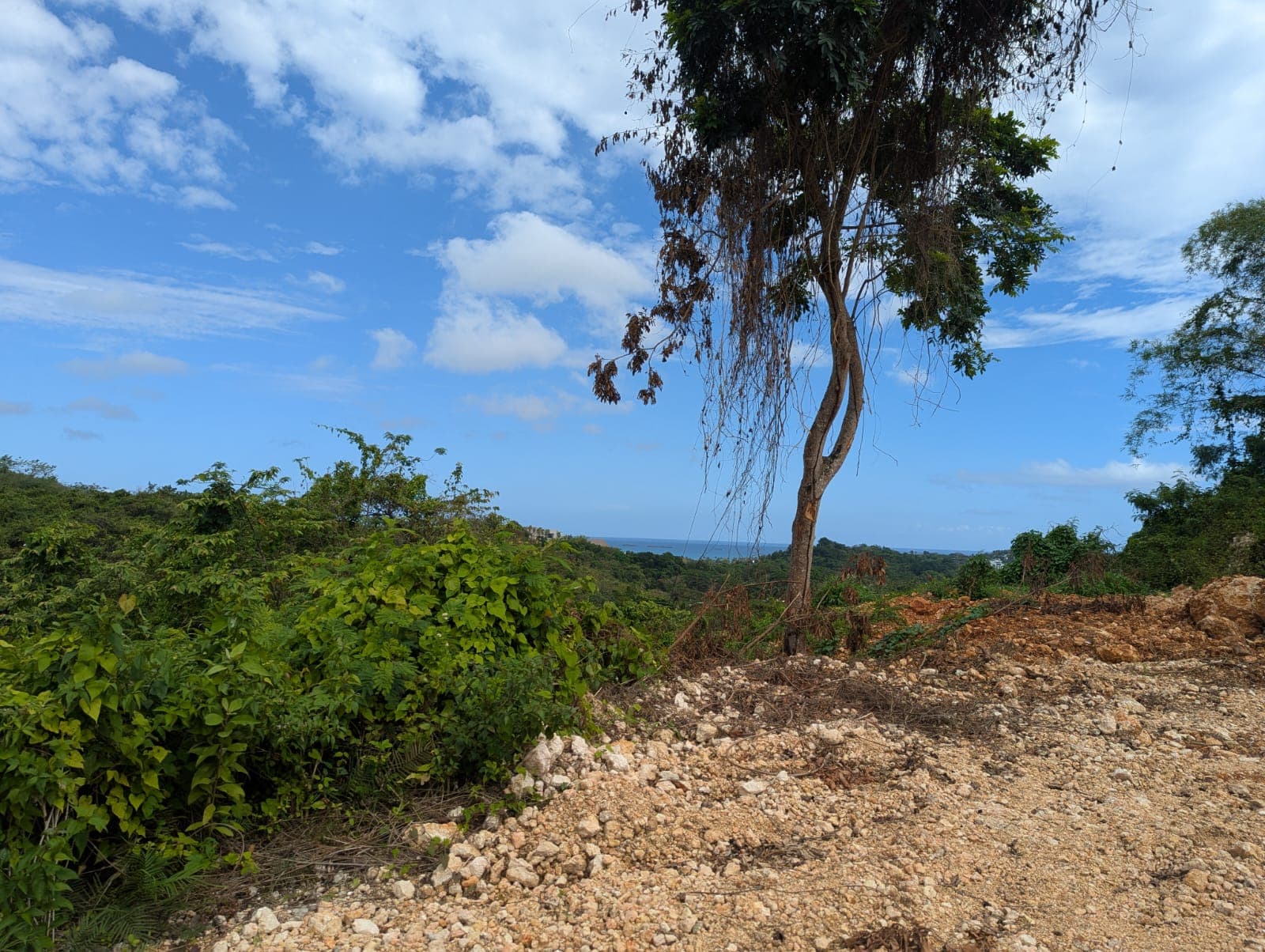 Flat Ocean View Lot in La Ceiba Ready to Build en La Ceiba, Las Terrenas — En venta
