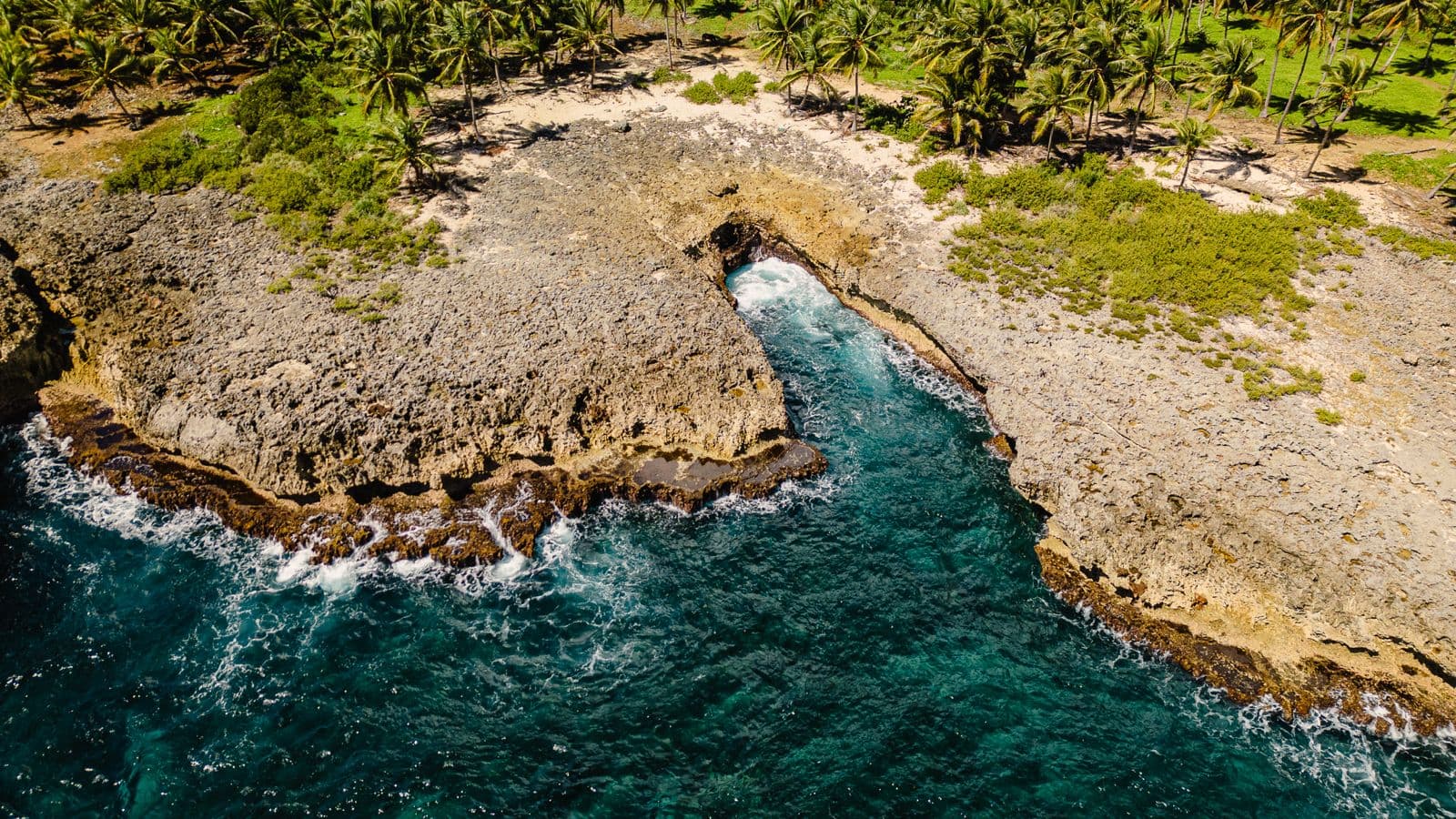 Terreno frente al mar de primera categoría en Las Galeras — En venta