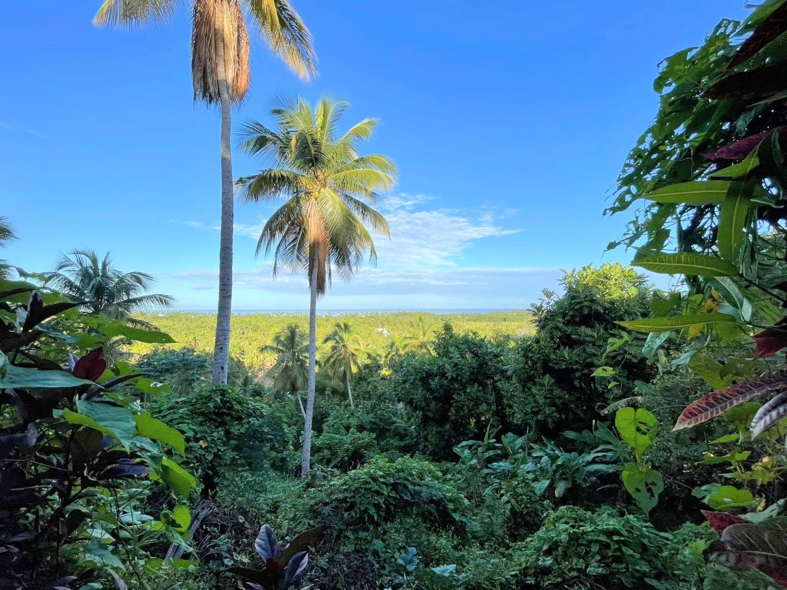 Two prime ocean view lots close to Coson Beach en Cosón, Las Terrenas — En venta