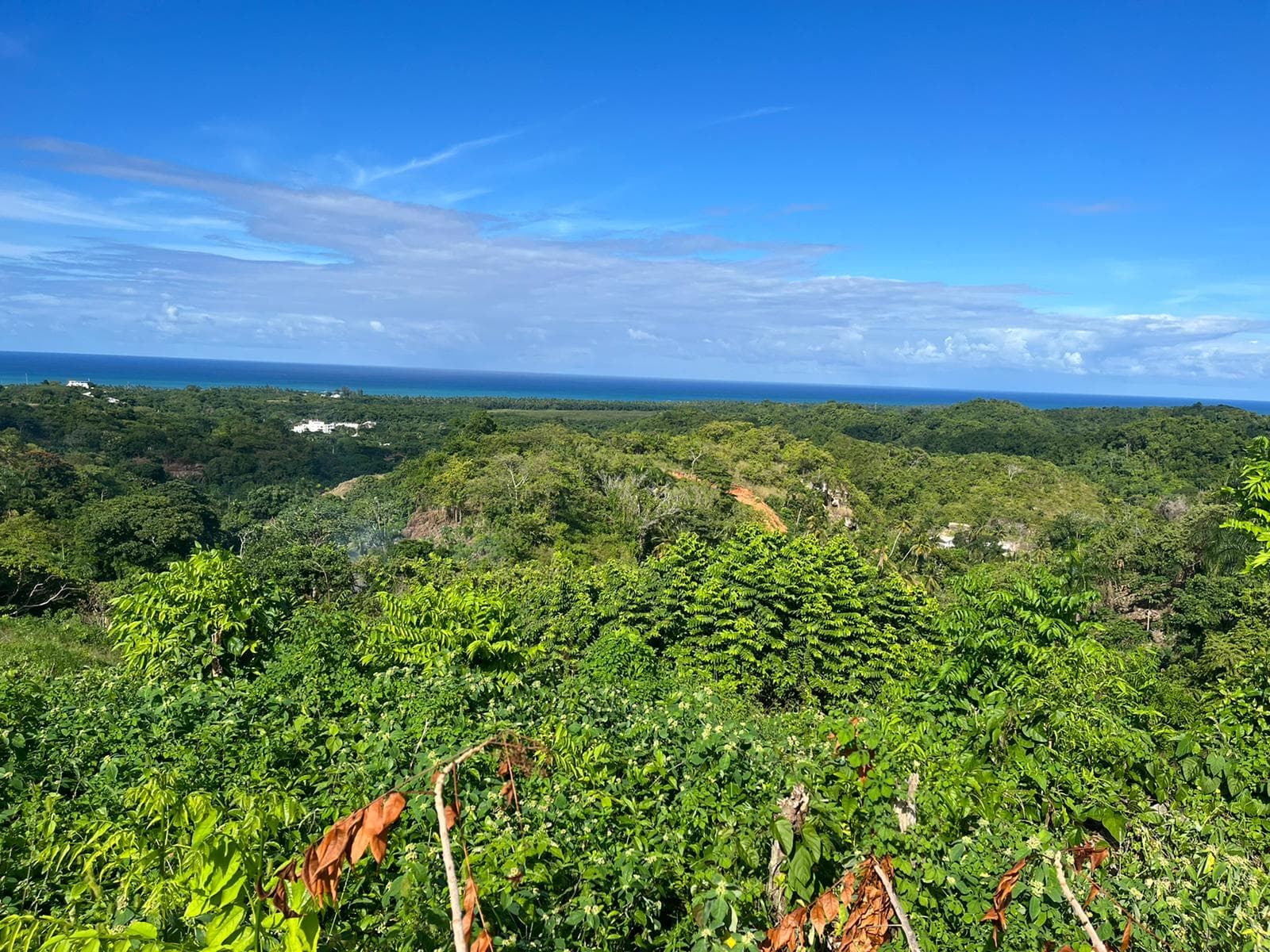 Lots with mountain view by the center en Abra Grande, Las Terrenas — En venta