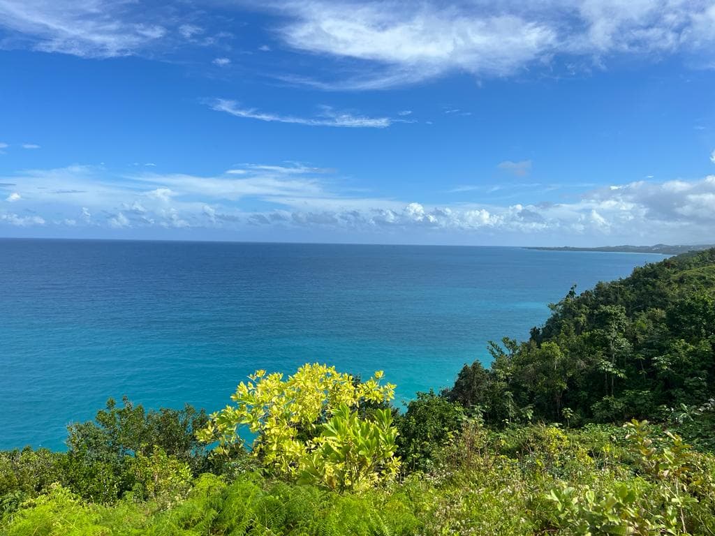 One-of-a-kind land for project with villas hanging above the ocean en Cosón, Las Terrenas — En venta